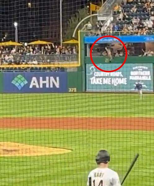 Markwood, 20, went tumbling over the wall and crashing onto the field in a horrifying moment