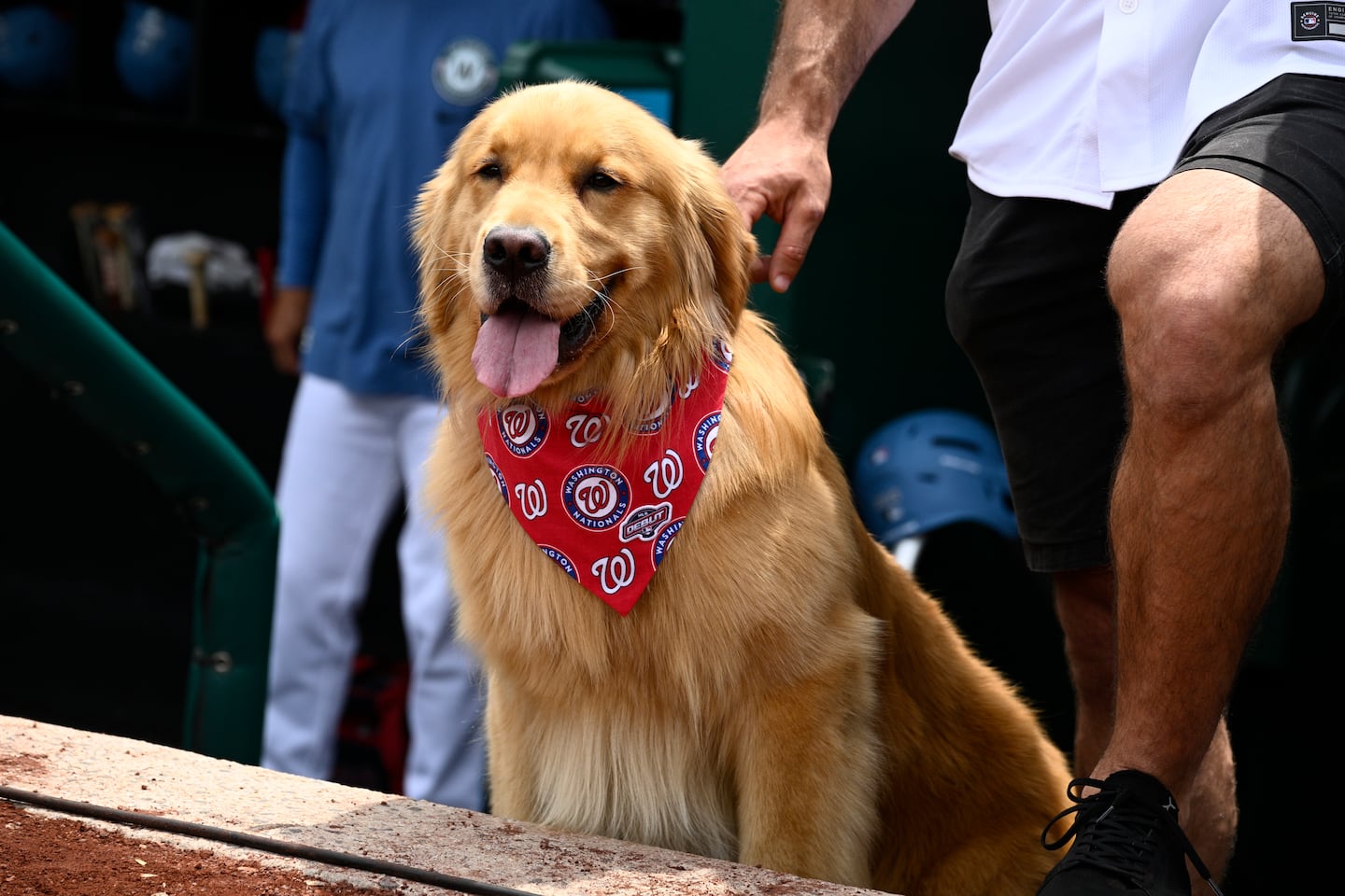 Bruce lapped up the attention from well-wishers.